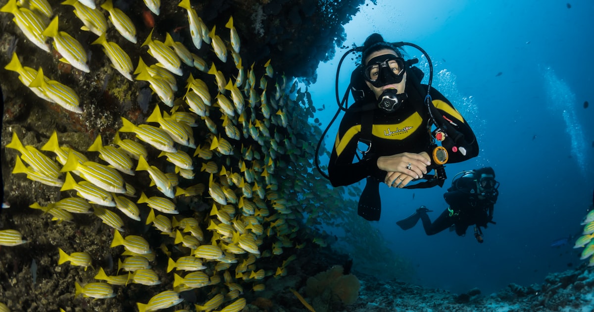 Dive Center Website & Booking System: What Phuket Shops Need